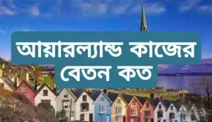 আয়ারল্যান্ড কাজের বেতন কত