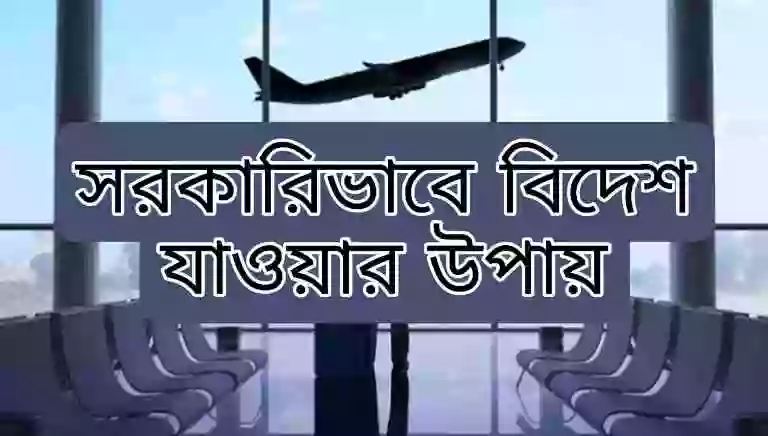 বিদেশে কোন কাজের চাহিদা বেশি