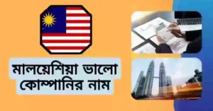 মালয়েশিয়া কনস্ট্রাকশন কোম্পানির নাম