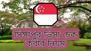 সিঙ্গাপুর টুরিস্ট ভিসা চেক করার নিয়ম