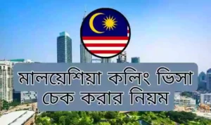 অনলাইনে মালয়েশিয়া কলিং ভিসা চেক করুন