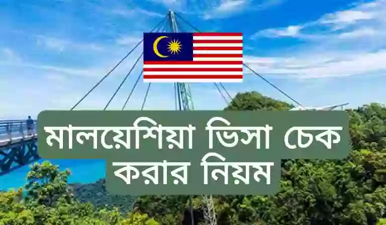 মালয়েশিয়া ই ভিসা চেক করার নিয়ম