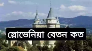 স্লোভাকিয়া সর্বনিম্ন বেতন কত